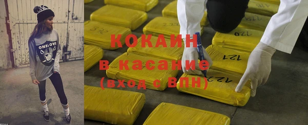 стаф Арсеньев