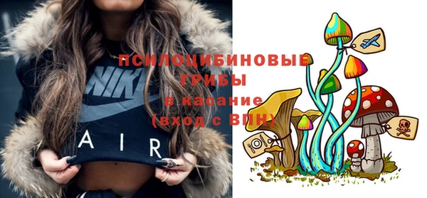 мет Аркадак